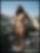 Rooftop garden 15